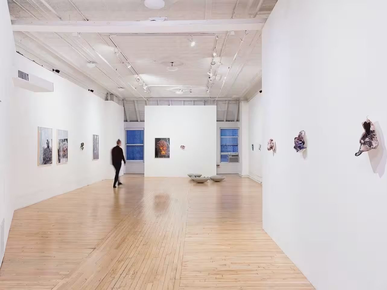 An art gallery with white walls and wooden floors.