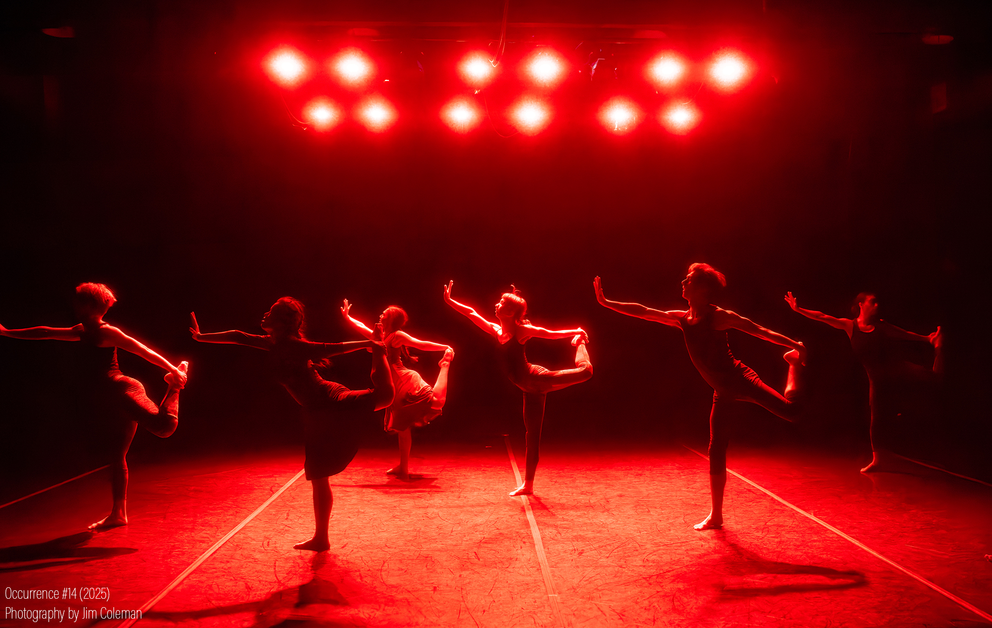 20251029-DSC_0045-NEF copy