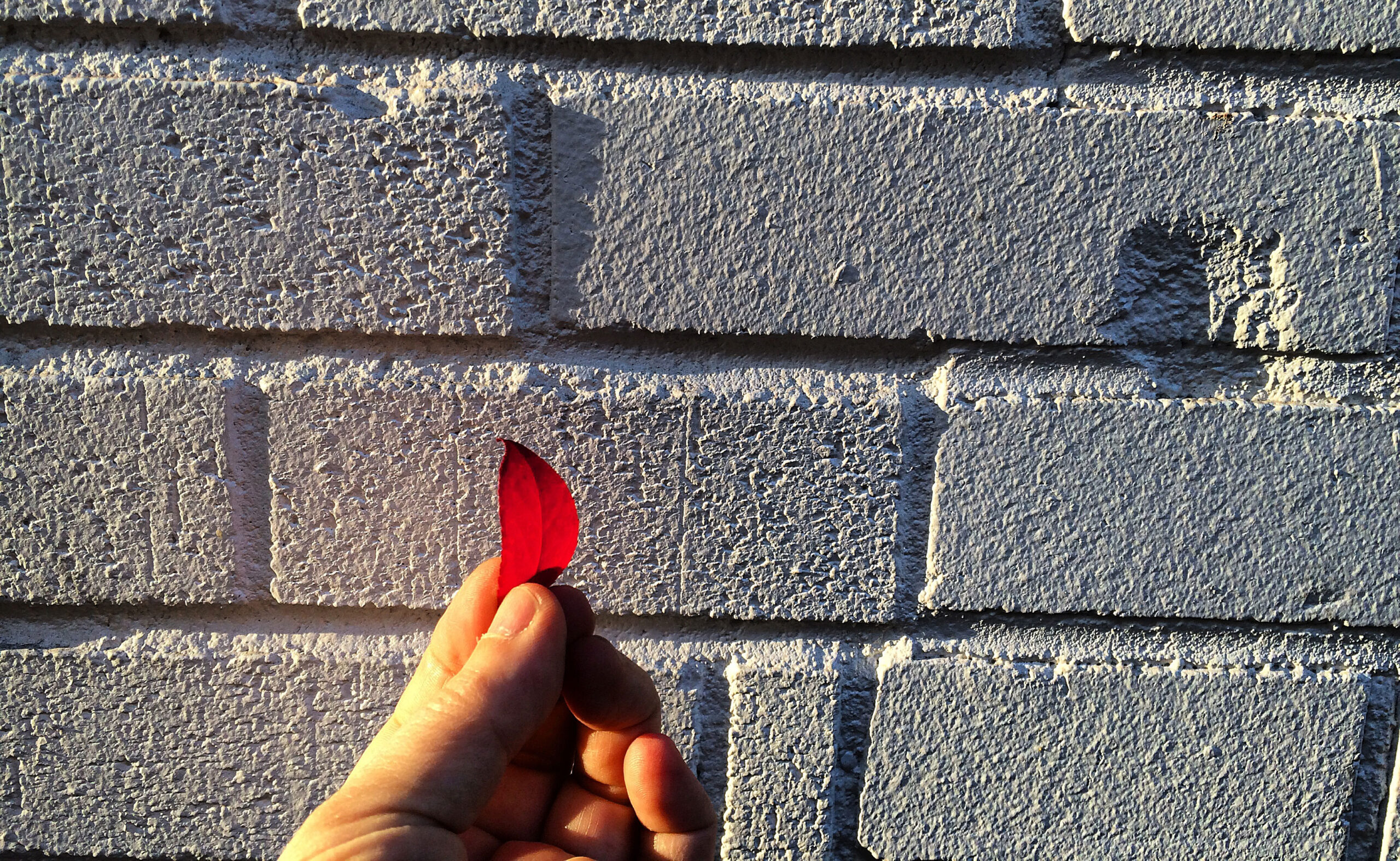 Seeds of Care Café | April 21